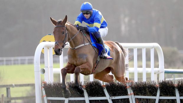 Dysart Dynamo 2HFEYAA Dysart Dynamo ridden by Paul Townend jump the last to win the first race at Punchestown Racecourse in County Kildare, Ireland. Picture date: Sunday January 16, 2022.