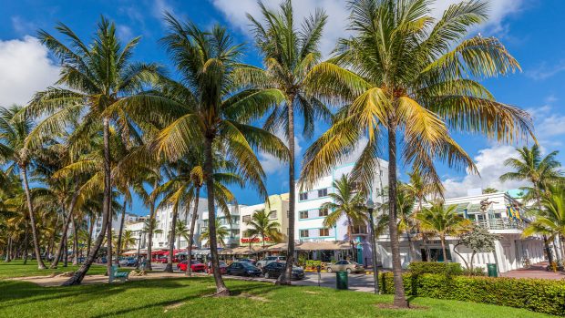 hotels near Palm Beach