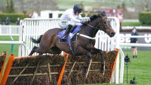 Cheltenham preview evenings