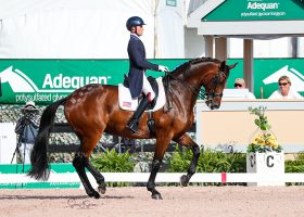 Ben Ebeling is a rider who has come up through the US dressage pipeline