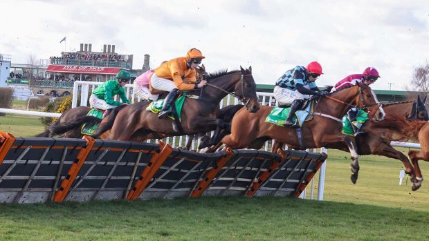 Cormier, ridden by Sean Quinlan, could win a £100,000 bonus at the Cheltenham Festival