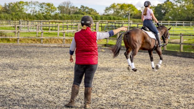 Riders are encouraged to check whether their coach has insurance
