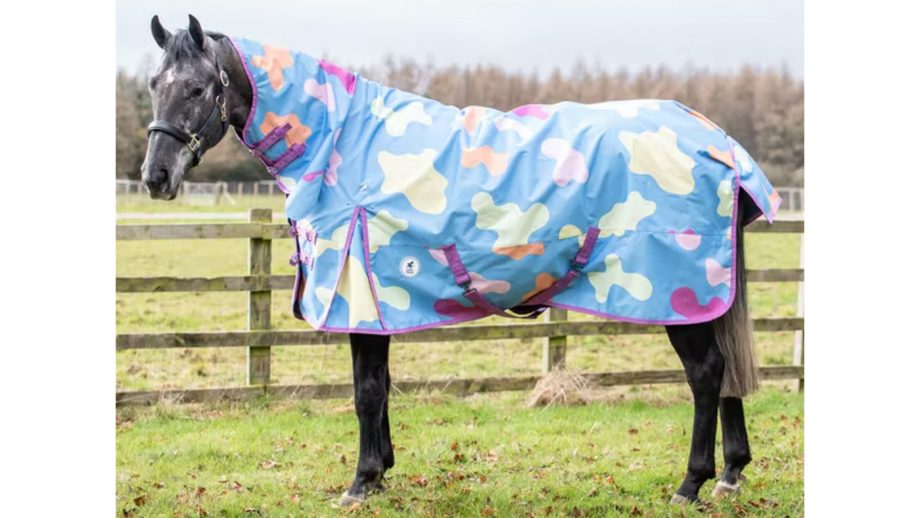 Patterned horse rugs to feast your eyes on Horse & Hound