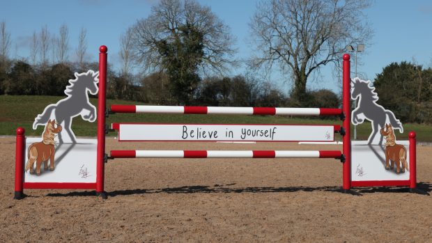 Emily Cole Believe In Yourself fance