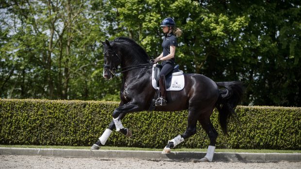 Lottie Fry and Everdale Fry Charlotte, GBR, Everdale, Van Olst Anne, Van Olst Gertjan Van Olst Stables - Den Hout 2017 © Hippo Foto - Dirk Caremans 09/05/17