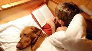 Child reading a horse book with his dog