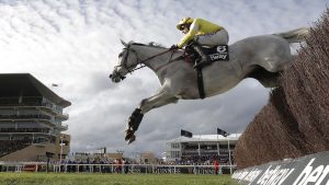 Politologue retired: the popular grey bowed out after finishing fourth in the 2022 Queen Mother Champion Chase