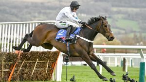 Gloucestershire , United Kingdom - 15 March 2022; Constitution Hill, with Nico de Boinville up, jumps the last on their way to winning the Sky Bet Supreme Novices' Hurdle during day one of the Cheltenham Racing Festival at Prestbury Park in Cheltenham, England. (Photo By Seb Daly/Sportsfile via Getty Images)