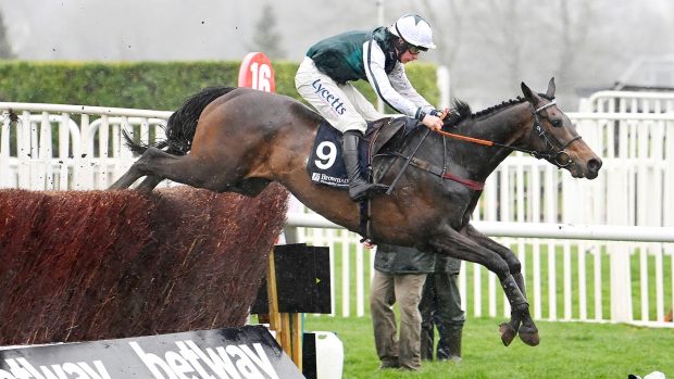L’Homme Presse CHELTENHAM, ENGLAND - MARCH 16: Charlie Deutsch on L'Homme Presse clear the last to win the Brown Advisory Novices' Chase race during day two of Cheltenham Festival 2022 at Cheltenham Racecourse on March 16, 2022 in Cheltenham, England. (Photo by Mike Hewitt/Getty Images)