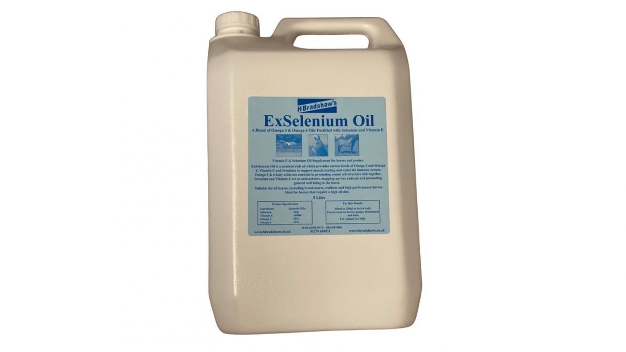 Best oils for horses what are your options? Horse & Hound