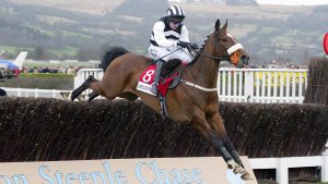 MOSCOW FLYER RIDDEN BY BARRY GEREGHTY AT CHELTENHAM FESTIVAL 2003