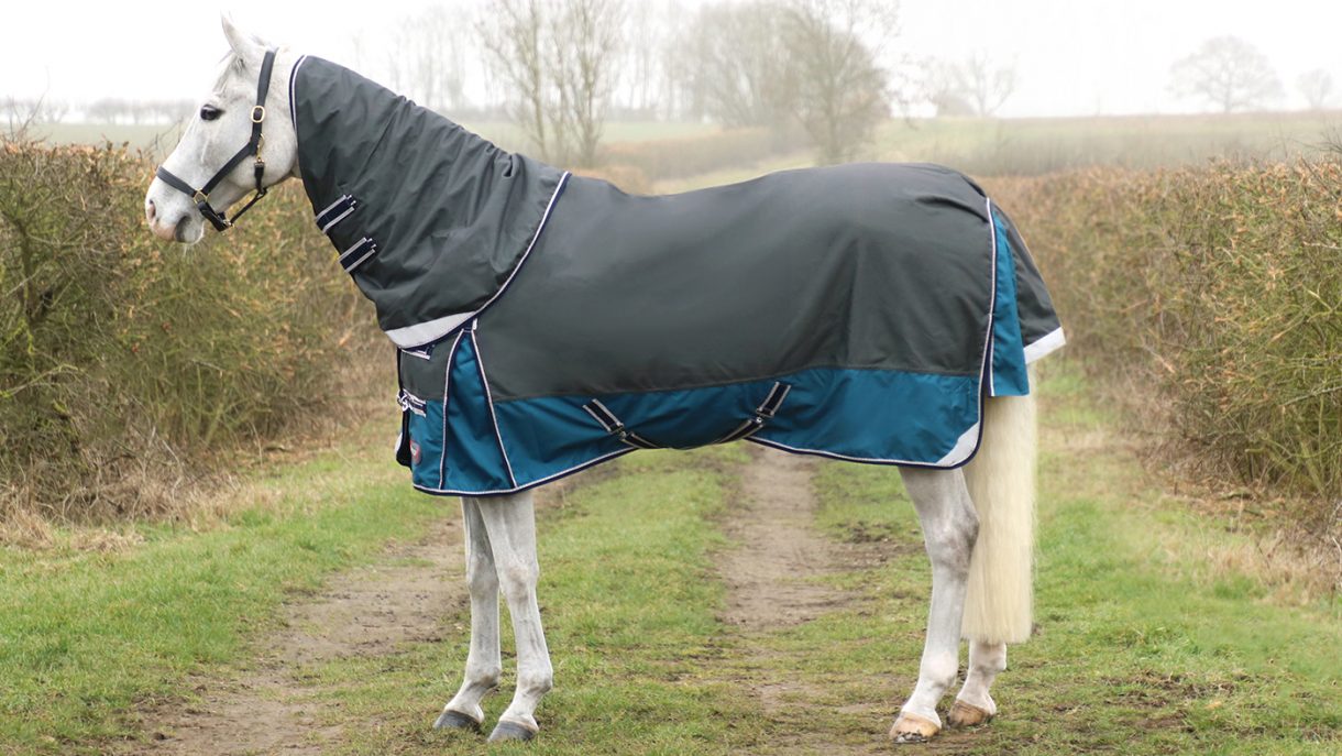 Best lightweight turnout rugs for horses Horse & Hound