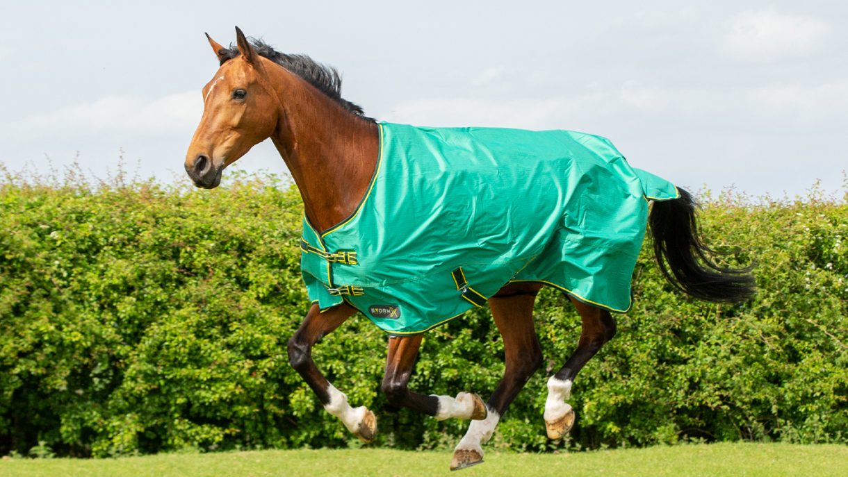 How to choose the best turnout rug for your horse Horse & Hound