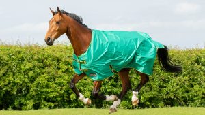 Hy StormX Original 0 Turnout Rug