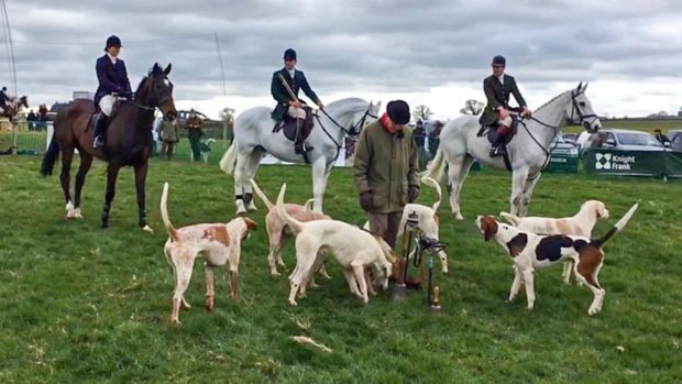 Cheltenham Gold Cup contender Santini parading at the Beaufort point-to-point