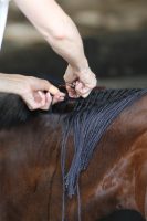 The art of braiding at the Winter Equestrian Festival