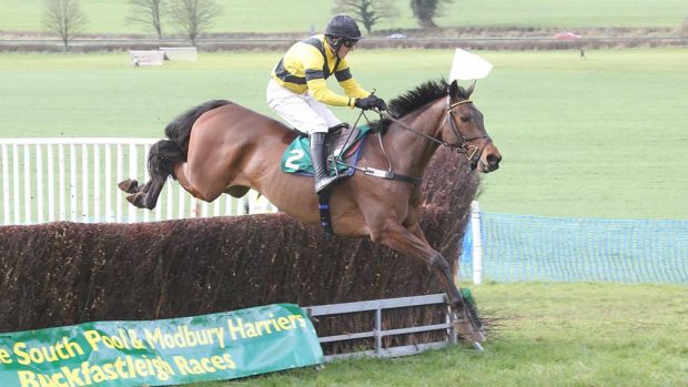 Josh Newman Minimalistic