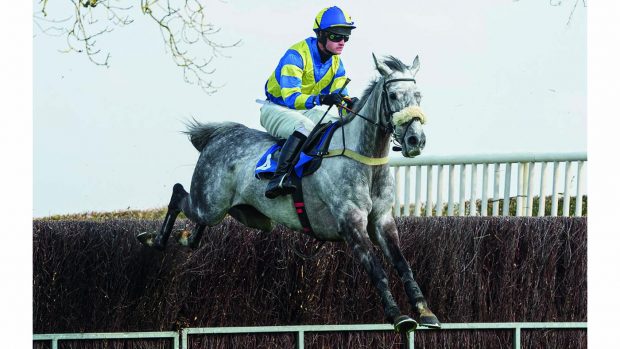 The Belvoir at Garthorpe, Sunday 20 March 2022 © 2022 Nico Morgan. All Rights Reserved