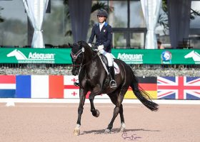 Kate Shoemaker and Solitaer 40 scored 74.146% in the CPEDI3* FEI Para Individual Grade IV class