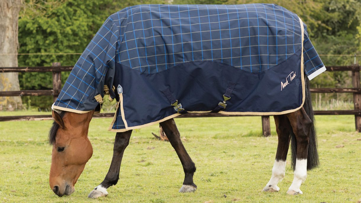 Best rain sheets for horses to protect from showers Horse & Hound
