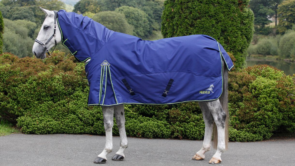 Best lightweight turnout rugs with 50150g fill Horse & Hound