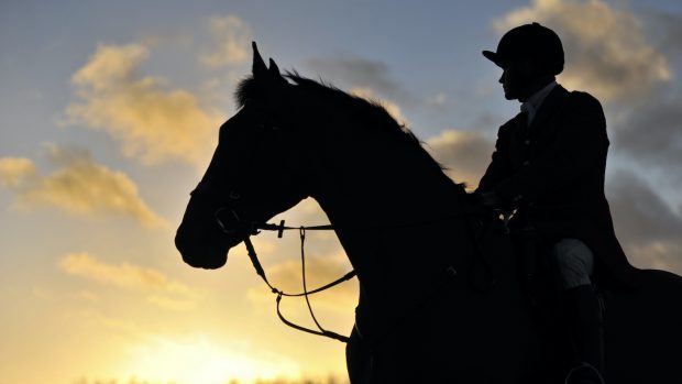 Hunting governance update: assessment and accreditation for hunts