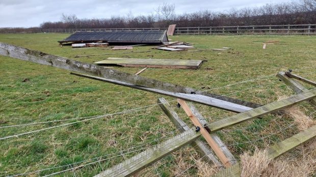 Storm Eunice damage: charities counting the cost