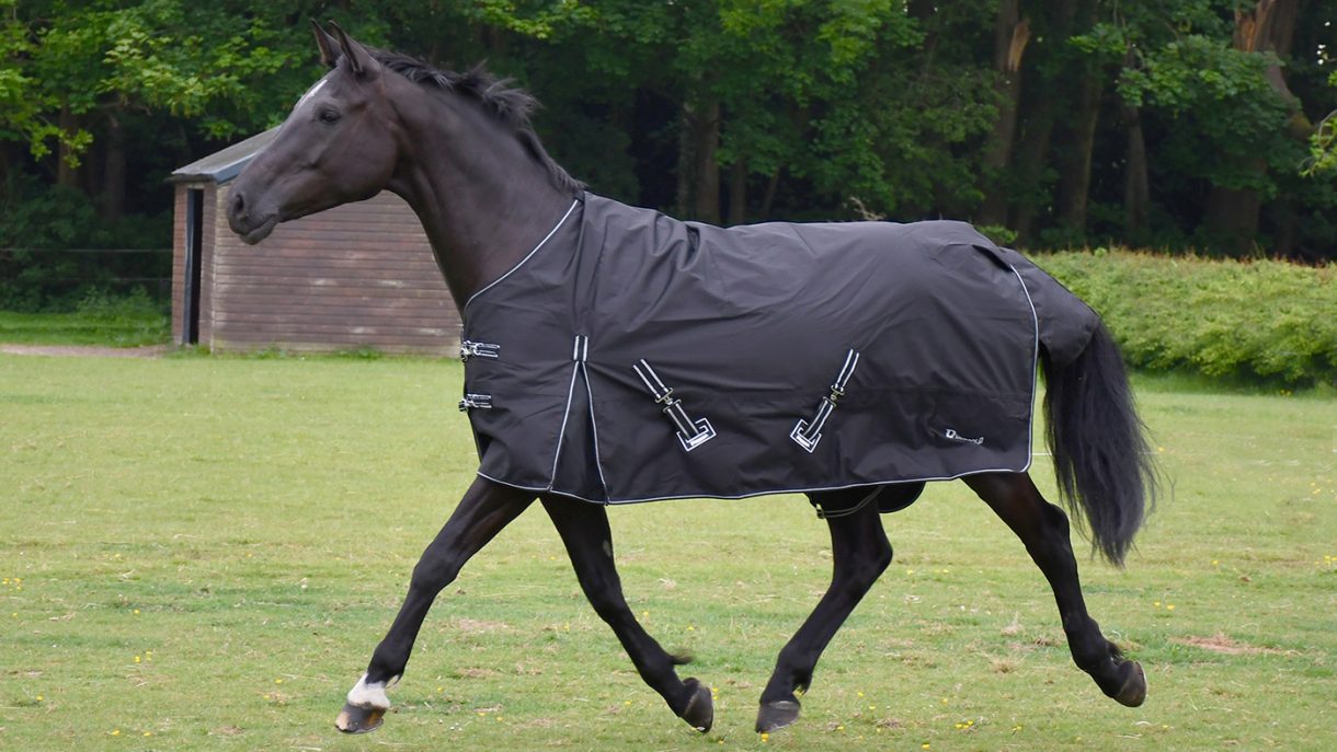 Best rain sheets for horses to protect from showers Horse & Hound