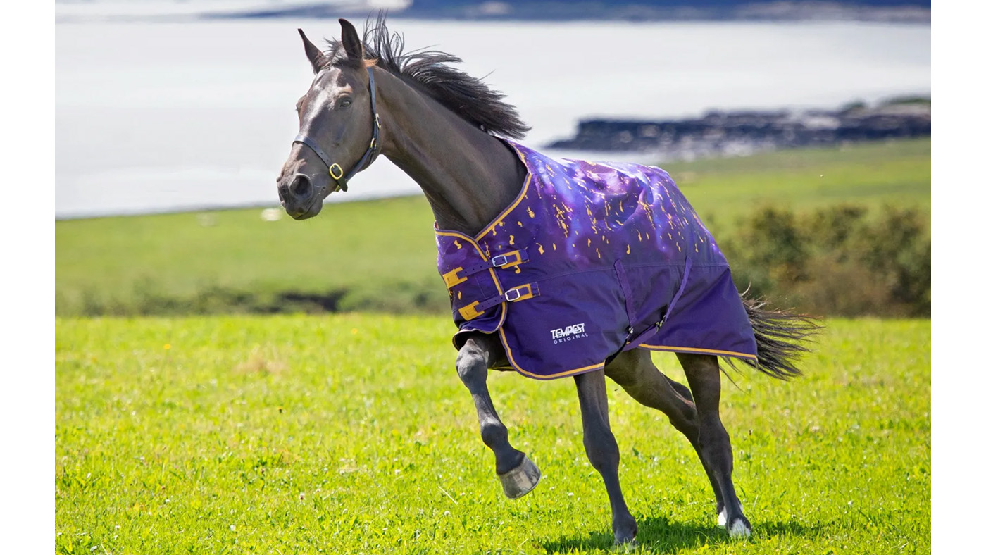 Shires Amethyst patterned horse rug