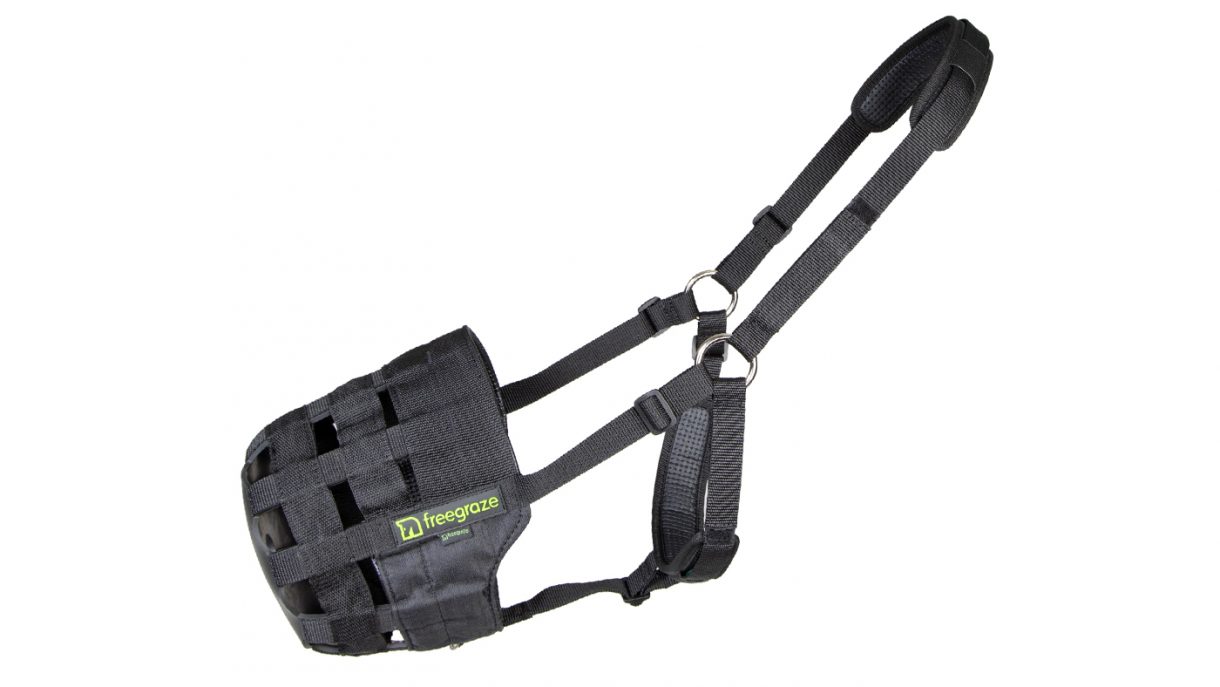 Best grazing muzzles and everything you need to know Horse & Hound