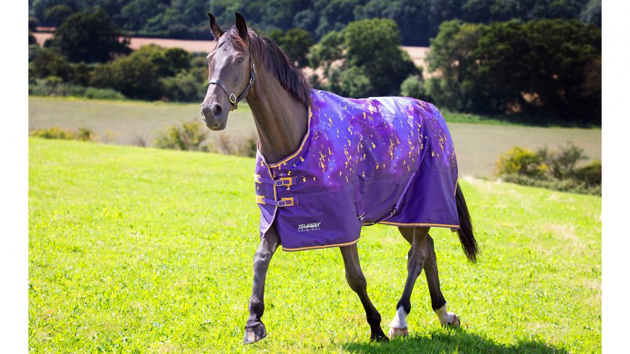 Best lightweight turnout rugs with 50150g fill Horse & Hound