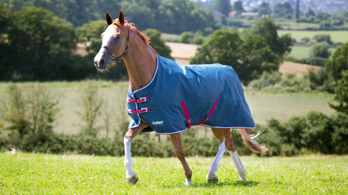 Best rain sheets for horses to protect from showers Horse & Hound