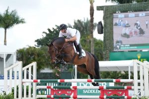 VDL Linus, one of 13 horses in the Winter Equestrian Festival sport horse auction