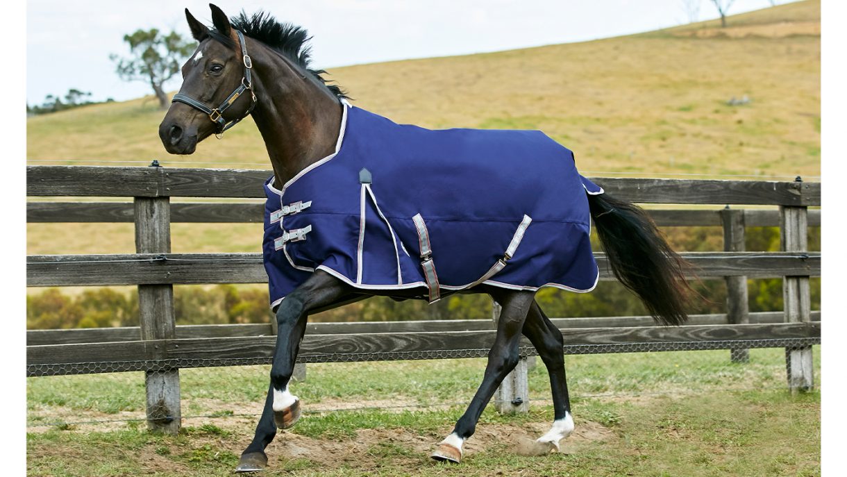 Best rain sheets for horses to protect from showers Horse & Hound
