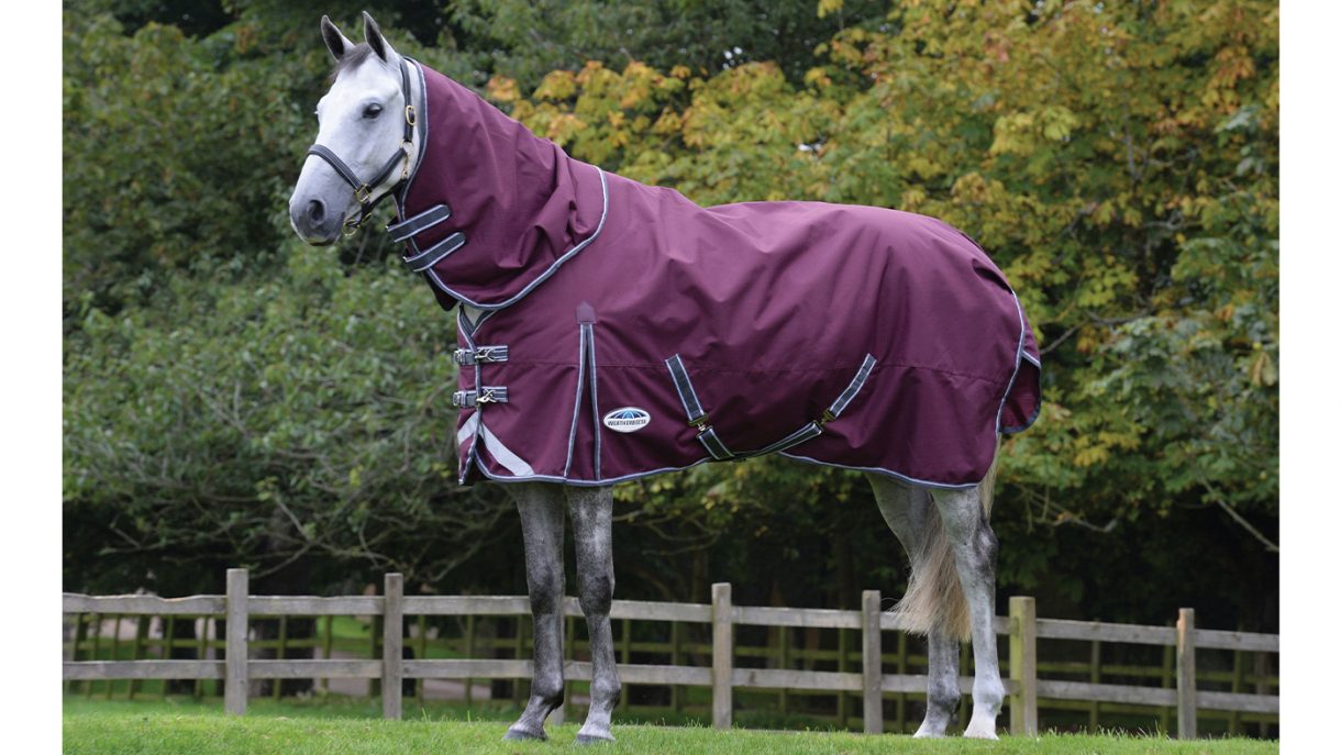 Best lightweight turnout rugs with 50150g fill Horse & Hound