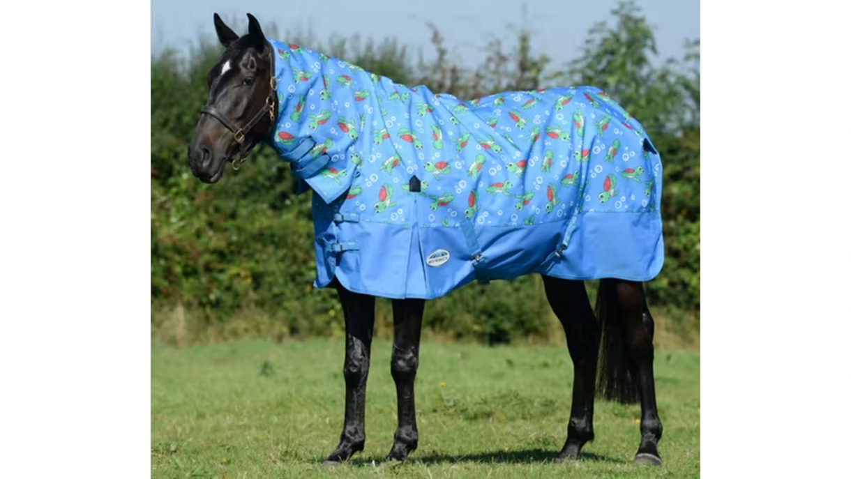 Patterned horse rugs to feast your eyes on Horse & Hound
