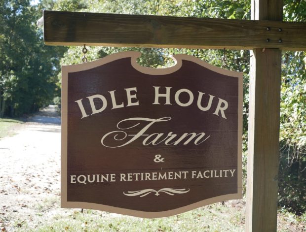 Idle Hour Farm is a dedicated equestrian facilty for retired showjumpers
