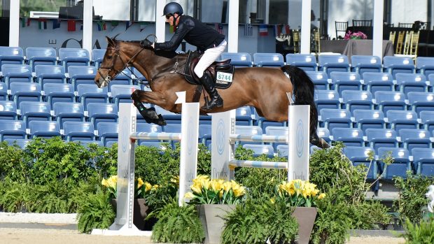 Paul O'Shea competing today at the Winter Equestrian Festival on Hellcat