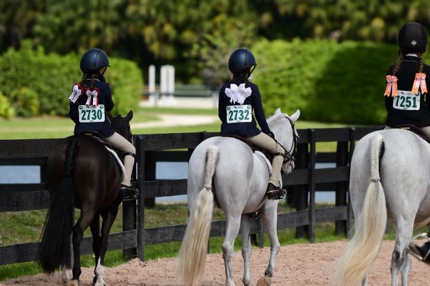 Pony hunters at the Winter Equestrian Festival provide countless photo ops
