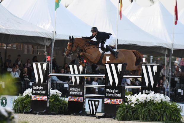 Shane Sweetnam and Holliewood were first to go last night