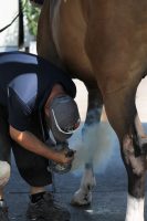 John Russell Winter Equestrian Festival Farrier