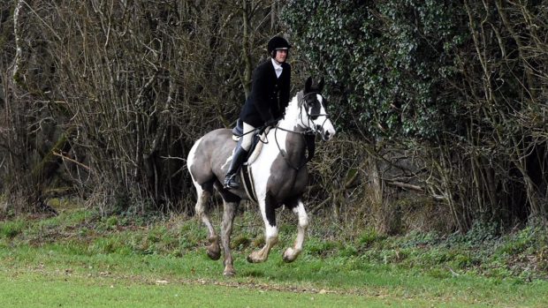 Susannah Andrew riding Mr T out with the Blackmore & Sparkford Vale.