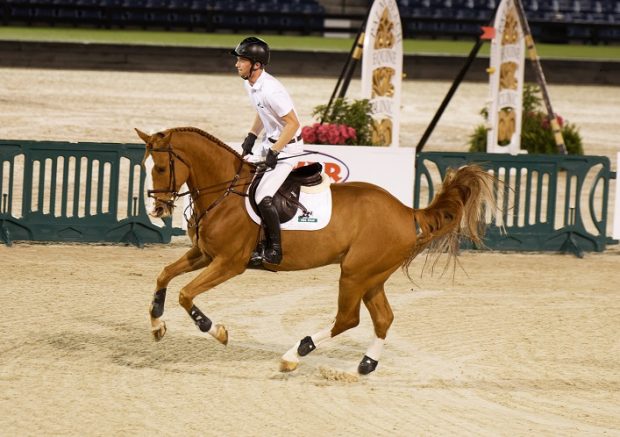 VDL Legodermus top the sale ath Winter Equestrian Festival horse sport auction