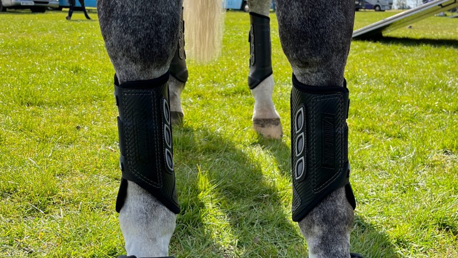 LeMieux Carbon Air XC fronts