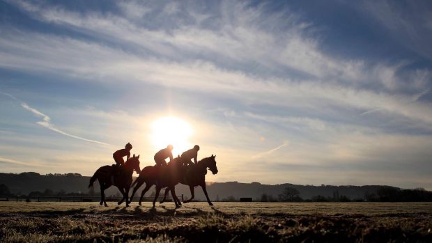 Racing Home: a new platform has been launched to support parents working in the racing industry