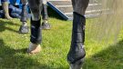 LeMieux Carbon Air XC Boots hinds