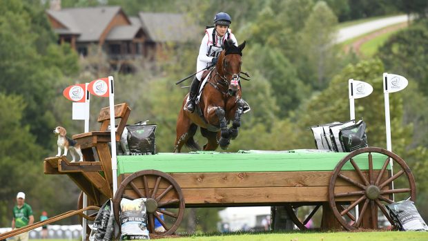 Arctic Soul dies: the ex-racehorse won world team gold in 2018