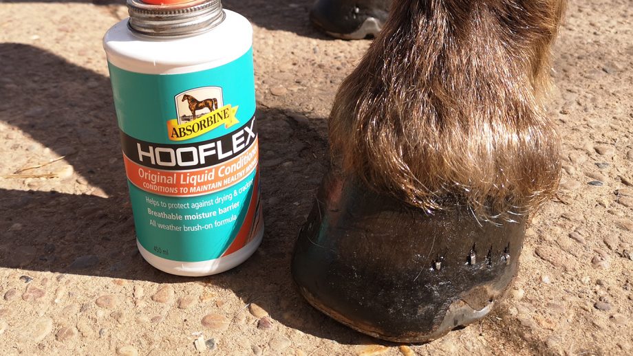 Absorbine Hooflex Original applied and dried