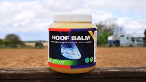 Equine America hoof balm pot