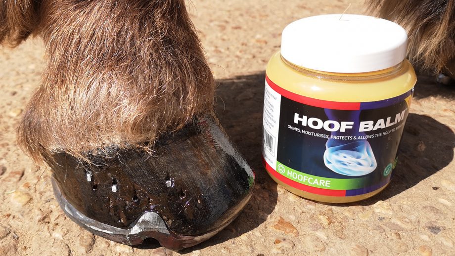 Equine America hoof balm on hoof wall